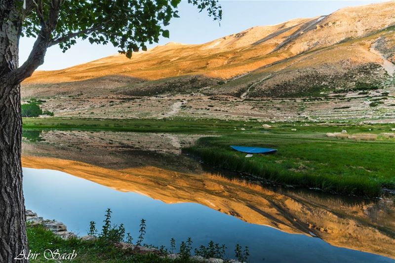  Lebanon  ouyounorghosh  sunrise  reflection  ig_lebanon  insta_lebanon ... (3youn Orghosh)