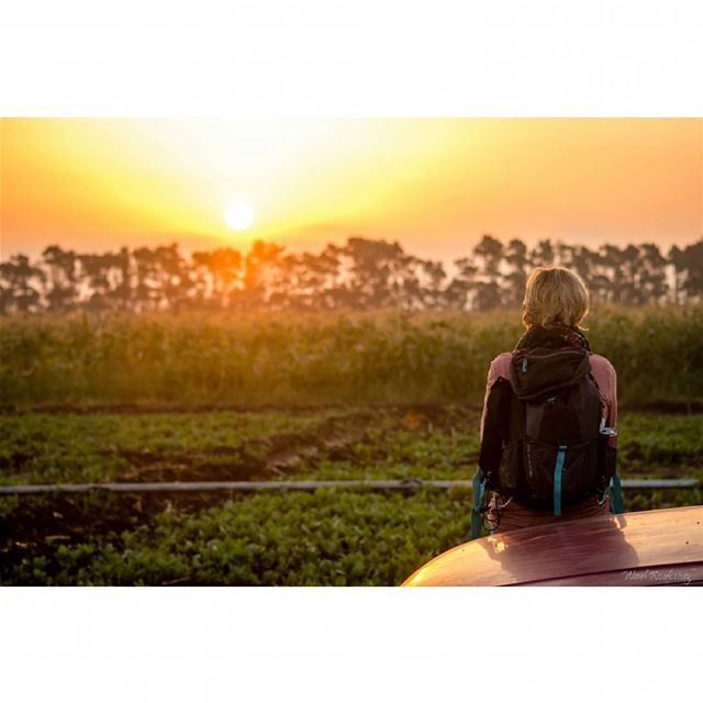  lebanon  plains  landscape  sunrise  lands  fields  plain  nature  sun ... (`Akkar, Liban-Nord, Lebanon)