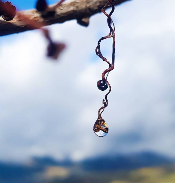  lebanon  raindrops  wearelebanon  pro_leb  ptk_sky  ptk_lebanon ...