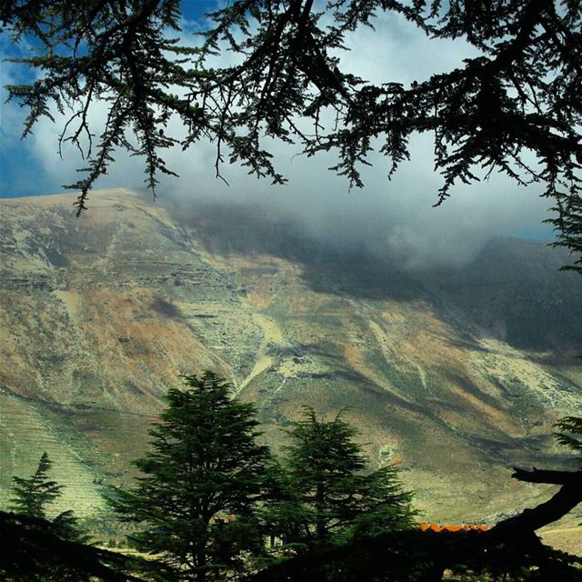 Lebanon's rainbow mountain ? 🗻🌈.... nature  lebanon  bcharre  ... (El Arz, Liban-Nord, Lebanon)