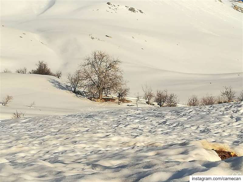  lebanon  sannine  winter  season  snow  livelovelebanon  livelovebeirut ...