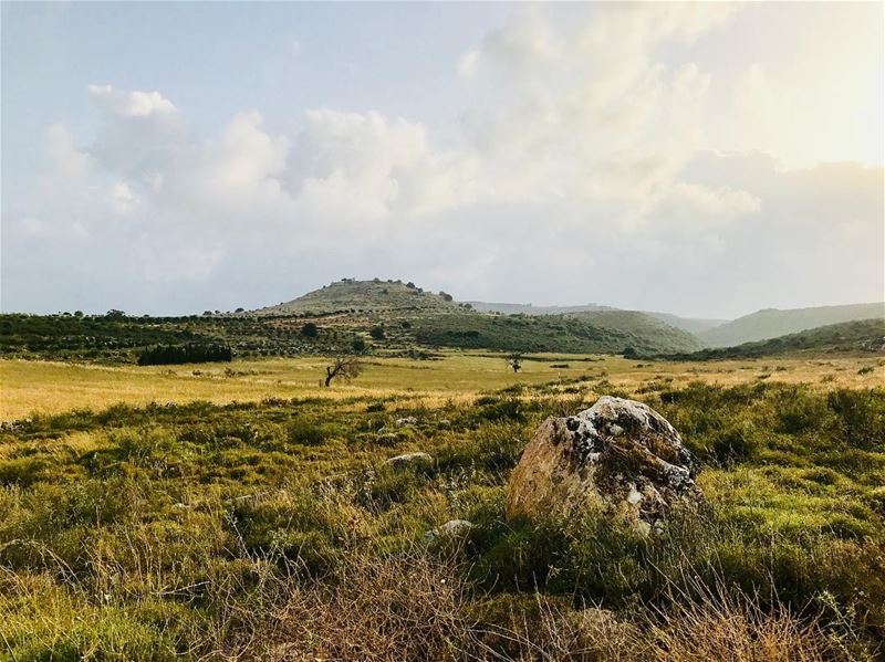  lebanon  south  jnoub  ansar  photography  fotografia  جنوب  nature ... (Ansar, Lebanon)