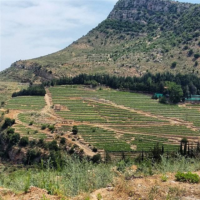  lebanon  southlebanon  aljanub  jezzine  hills  landscape_captures ... (Jezzîne, Al Janub, Lebanon)