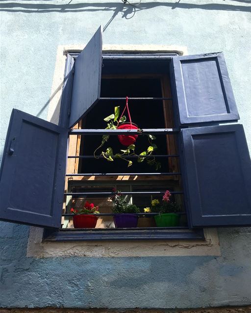  lebanon  southlebanon  tyr  tyre  oldhouse  oldwindow  hangingflowers ... (Tyre, Lebanon)