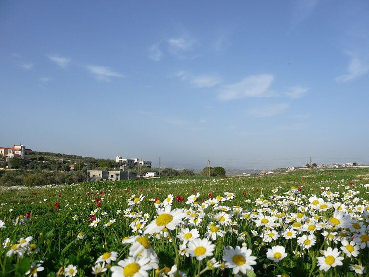  lebanon springtime spring nature instagram  naturelovers naturaleza ...