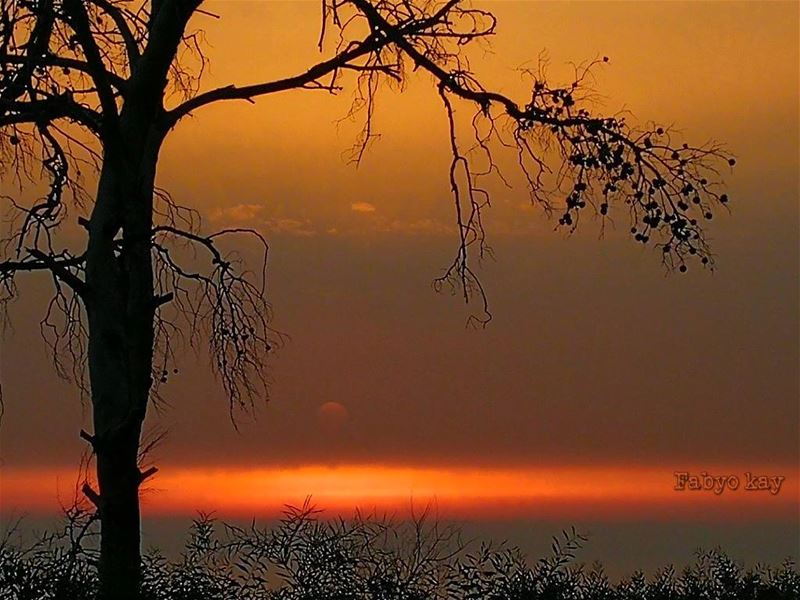  lebanon sunset sunsetporn sunsetlovers sunset_madness sunsets... (Sawfar, Mont-Liban, Lebanon)