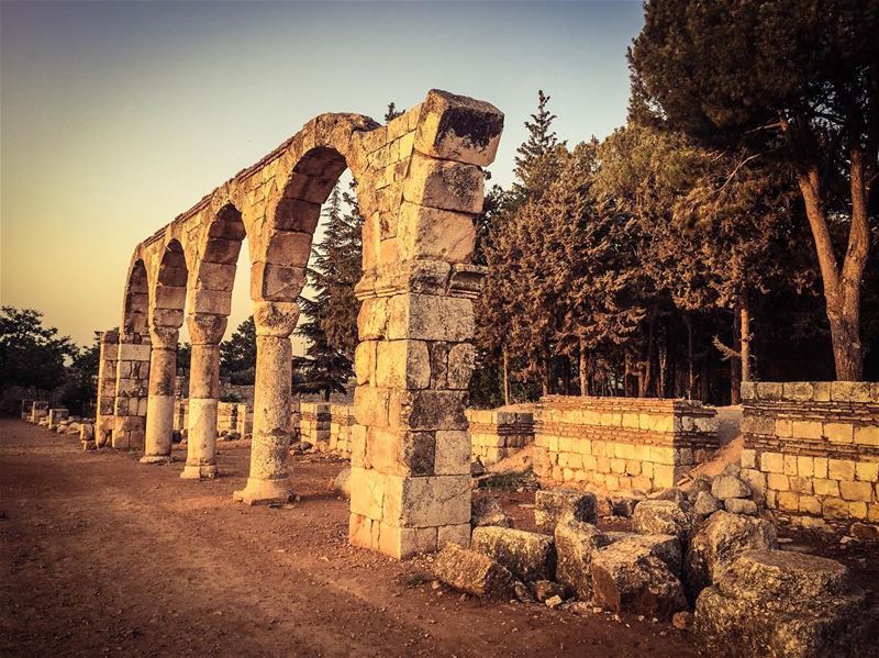  lebanon  tourism ... (Anjar_Anjar Castle)