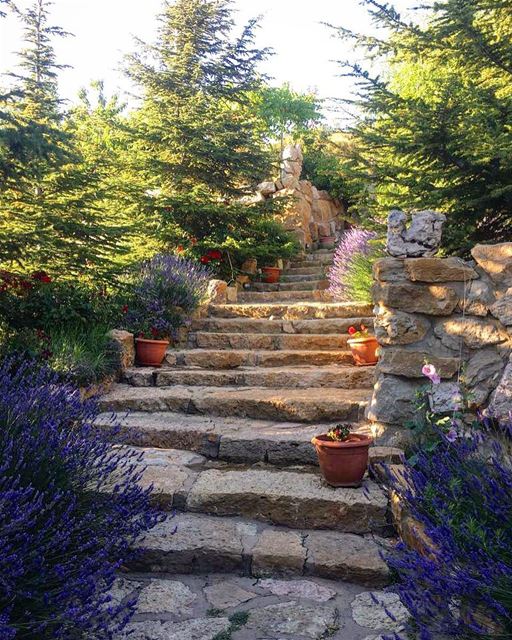 💜🌲.. lebanon vacation summer picoftheday  instagood instapic weekend... (Lebanon)