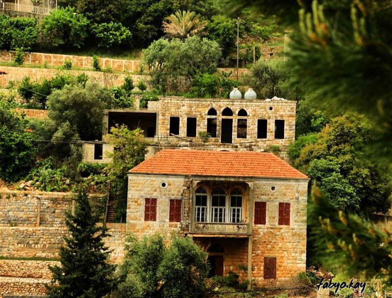 @lebanon.visions @lebanontimes @insta_lebanon @lebanonhouses @wearelebanon... (Dlebta, Mont-Liban, Lebanon)