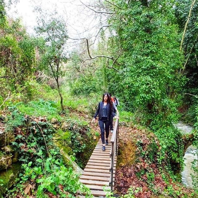 Lebanon we love you ❤ hiking  explorelebanon  picoftheday ...