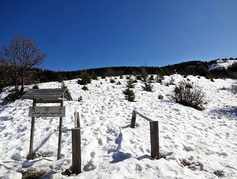  lebanon  winter  season  snow  barouk  cedars  chouf  livelovelebanon ...