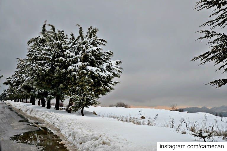  lebanon  zaarour  december  winter  season  snow  weather ... (Zaarour)