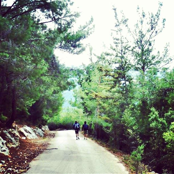  lebanon  zgharta  hiking  in  nature  forest  empty  road  insta  world  ...