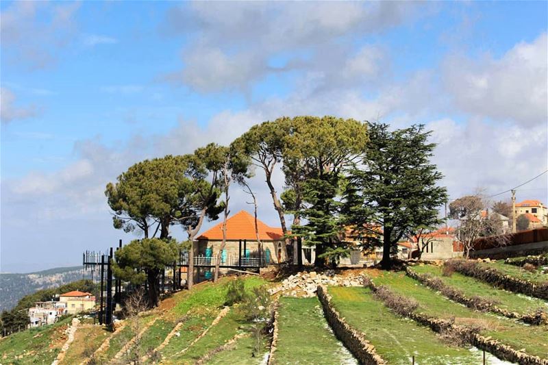  lebanon🇱🇧 حلوة و يا نيالها دنية سحر بحالها كلمة سر بقلب الفجر طل الفجر... (Torza)
