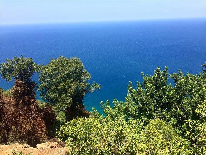 Lebanon 🇱🇧☀️💦Good Morning -- summer beirut lebanon newweek  instagram... (Beirut, Lebanon)