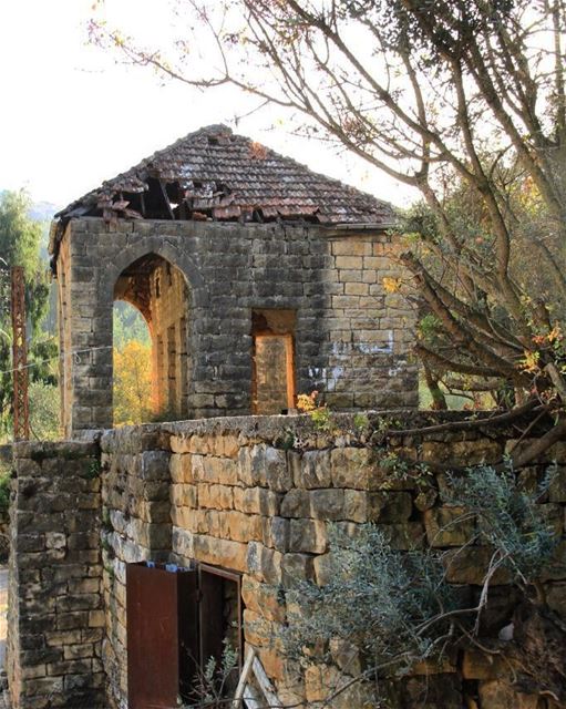 ------------------------------------------------------------------... (Lebanon)