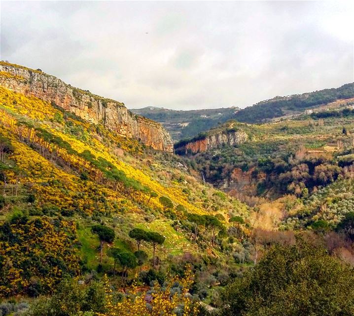  lebanon_hdr  southernlebanon  besre  jezzine  biking  bikeswithoutlimits ... (Besre Jezzine)