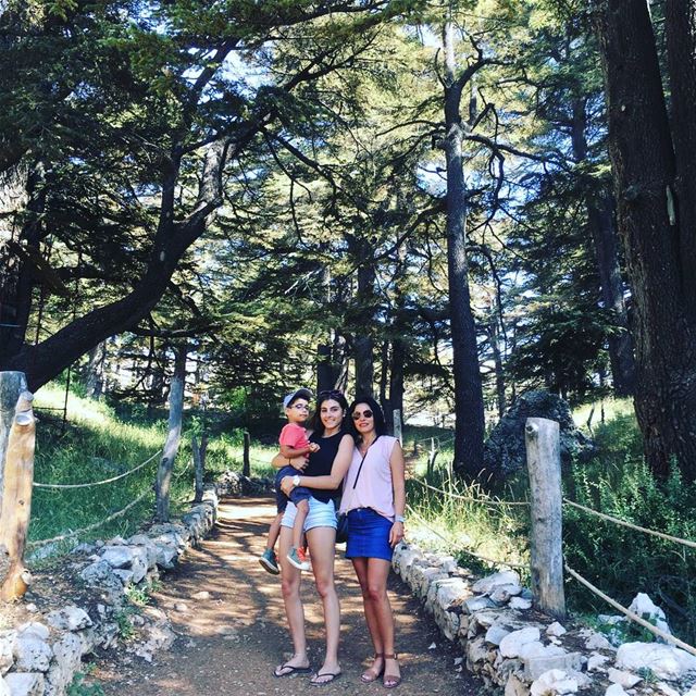  lebanoncedars  cedarsofgod  forest  arz  worldheritagesite  tourist ... (Cedars of God)