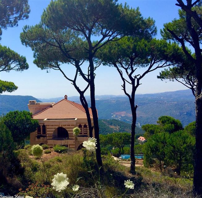  lebanonhouses  architecture  pinetrees  nature ...
