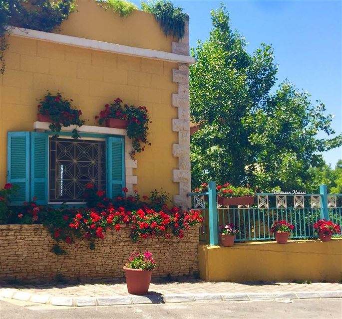  lebanonhouses  old  oldhouse  nostalgia  colors  flowers  beautiful ...