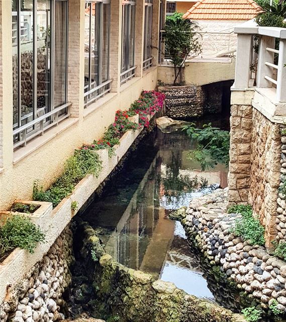  lebanoninapicture  ptk_lebanon  livelovebeirut  insta_lebanon ... (Antilyas)