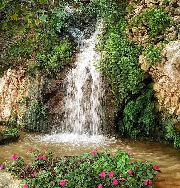  lebanoninapicture  ptk_lebanon  livelovebeirut  insta_lebanon ... (Antilyas)