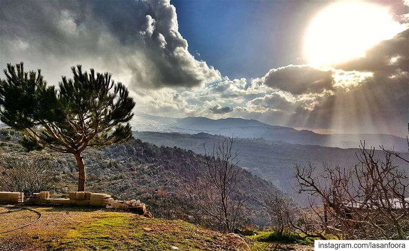  lebanoninapicture  ptk_lebanon  livelovebeirut  insta_lebanon ... (Mount Lebanon Governorate)