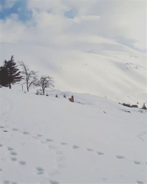  lebanoninapicture  snow  mountains  awesomeshots  livelovelebanon ... (Cedars of God)