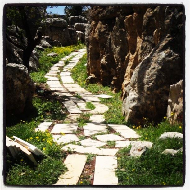 lebanonnature