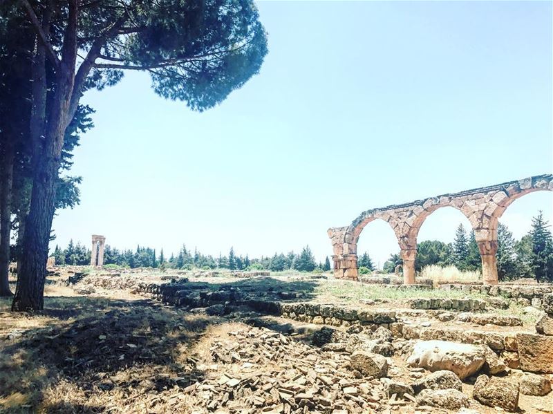  lebanonshots  lebanontimes  lebanon🇱🇧 (Haouch Moussa, Béqaa, Lebanon)