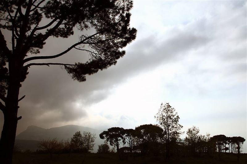  lebanonspotlight  whatsuplebanon  picoftheday  mountains  lebanon  cloud ...
