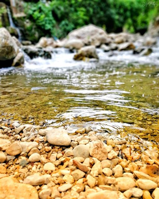  lebanontimes  lebanoninapicture  lebanon  river  placestovisit  view ... (Mazraat En Nahr, Liban-Nord, Lebanon)