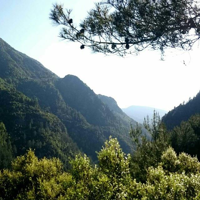  lebanontraveller  lebanon  hiking  chouwwen  nature  greenlove ...