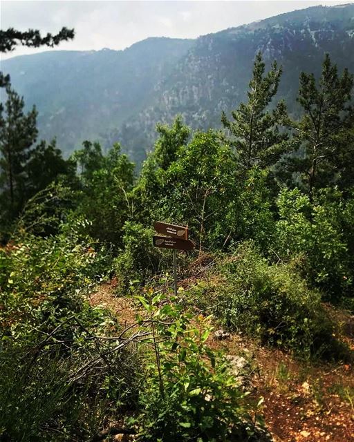 Left. Or Right? JabalMoussa  unescomab  unesco  biospherereserve ...