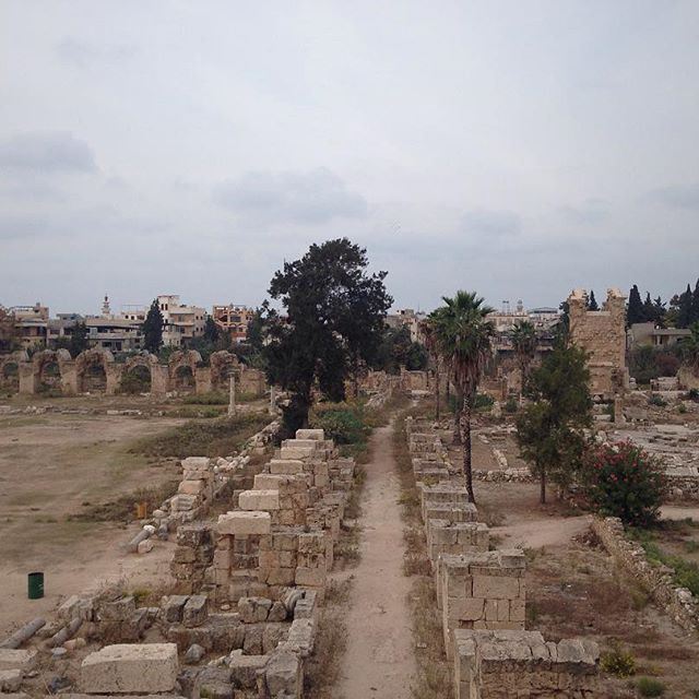 Leftovers. (Tyre, Lebanon)