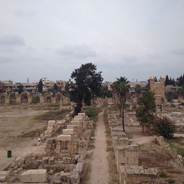 Leftovers. (Tyre, Lebanon)