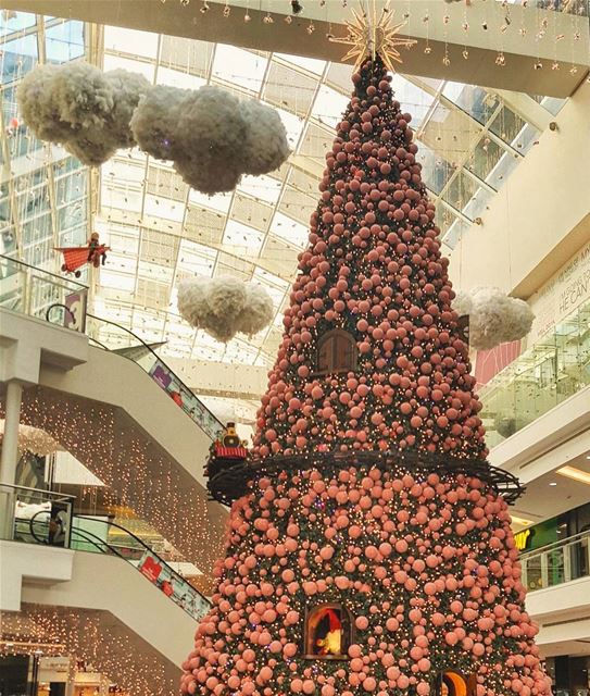 @lemall  lemall  christmastree ...