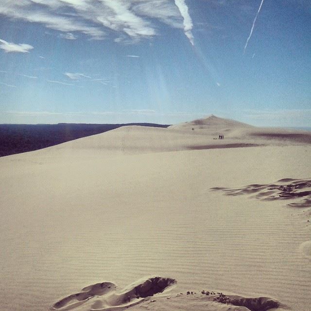 Les dunes du Pilat (Pyla), the highest dunes in  Europe! Very...