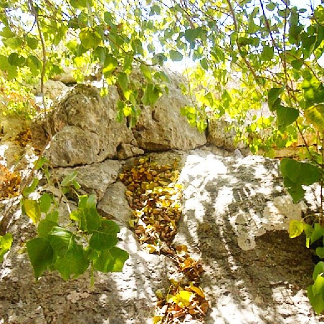 Les feuilles mortes se ramassent à la pelle, tu vois je n'ai pas oublié....les souvenirs et les regrets aussi.