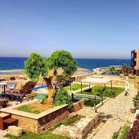 Les matinées a Byblos...