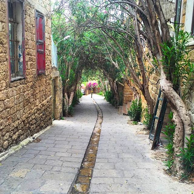 Les ruelles de Byblos...