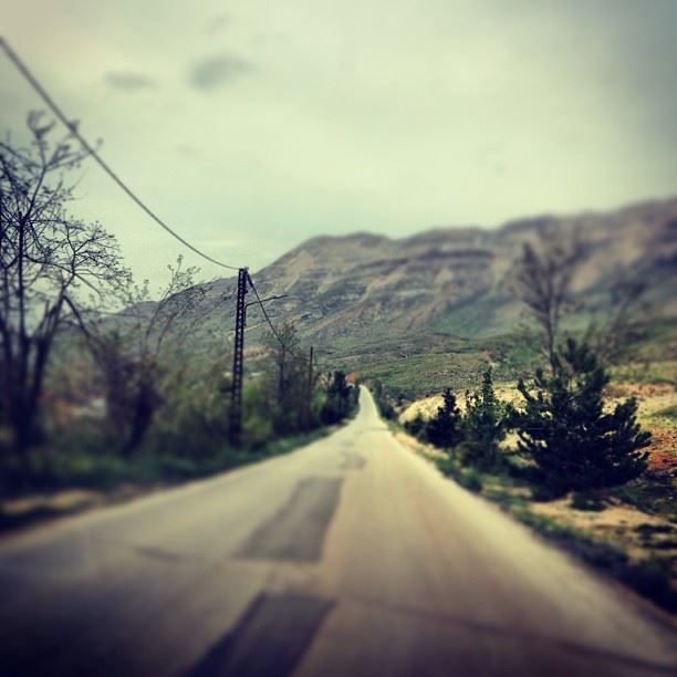 Less Travelled  the cedars  cedars  roads  roadtrips  landscapes ...