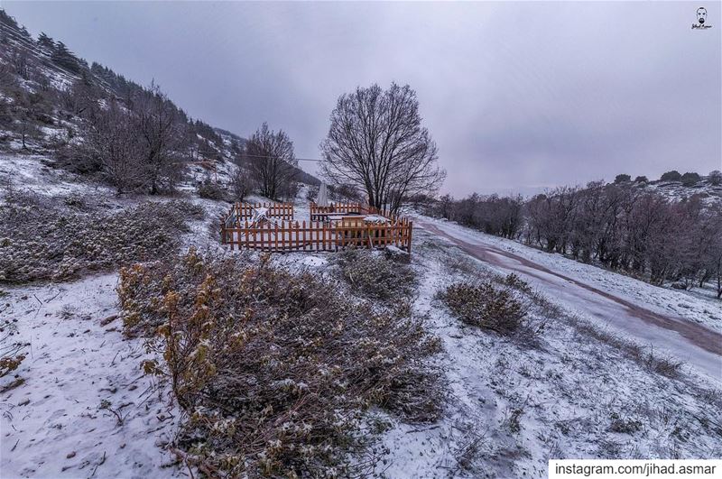 Let it SNOW!!!!🤓🤓... (Cedars Ground Campsite)