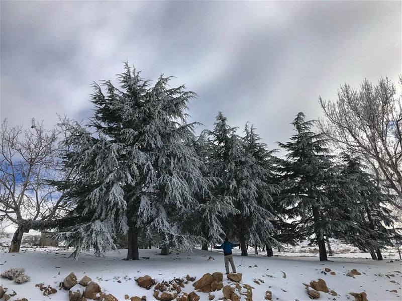 Let it snow.. let it snow.. let it snow 🎶🎵 (Faqra Kfardebian)