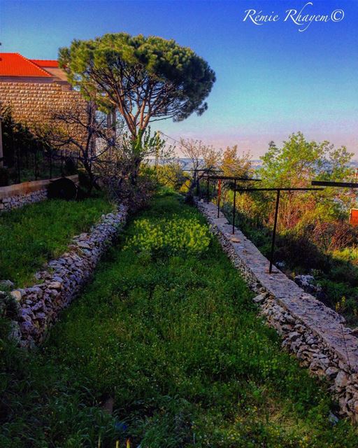 ~Let it spring 💁🏻🐰🌸🌱🌱~ (Jezzîne, Al Janub, Lebanon)