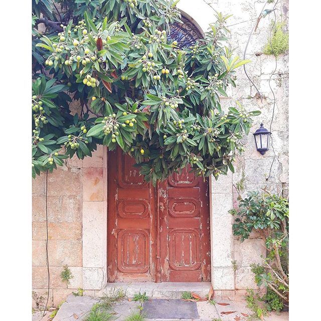 Let nature in 🚪🌿