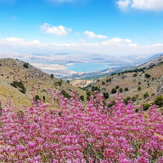 Let's agree that the office should be closed on beautiful days... 🌸💙...