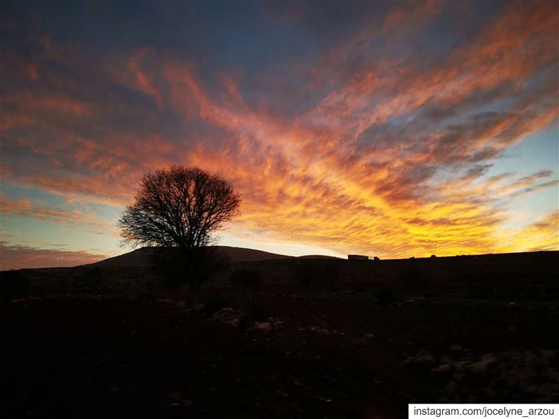 Let's find some beautiful place to get lost......  beautiful  place ... (Aïtaroun, Al Janub, Lebanon)