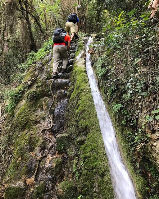 Let’s find some beautiful places to get lost 👌🏻👌🏻😍