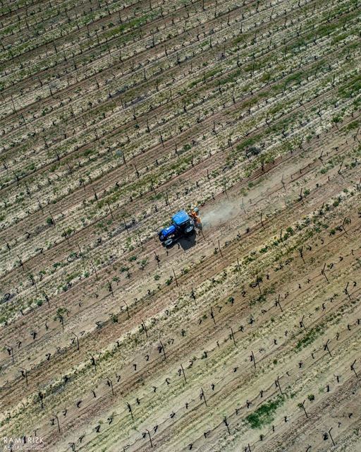 Let's Get Back To Work 🍇 🚜... ... kefraya  westbekaa  bekaa ... (Château Kefraya)